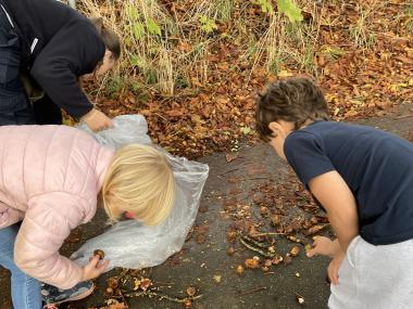 En tryg start i Hyldeblomsten  Når jeres barn begynder i Hyldeblomsten, sørger vi for en varm og personlig velkomst. Inden opstart mødes vi for at lære barnet at kende og forberede en god modtagelse